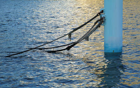 Surface illuminated by the setting sun and for mooring postsの写真素材