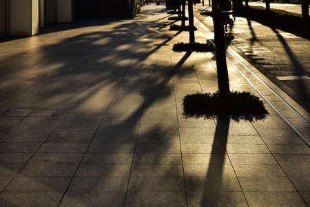 The setting sun illuminates the trailsの写真素材