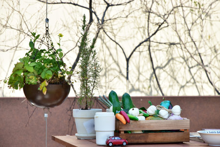 On the garden table with green