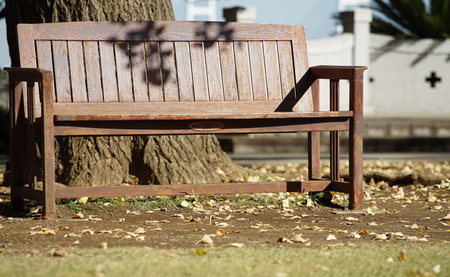 The park bench