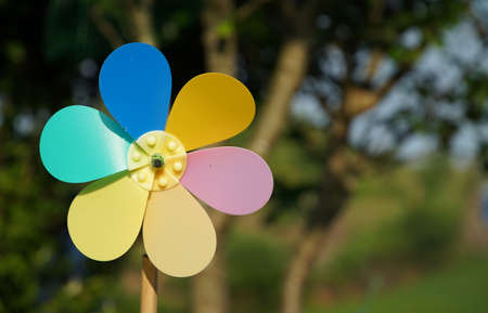 Colorful windmill in the outdoor gardenの写真素材