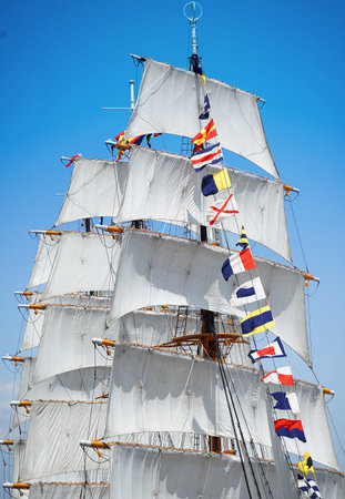 Sailboats in the harbor on a sunny day