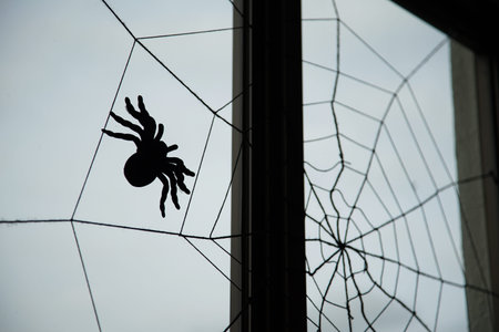 Spider web on the window of the roomの写真素材