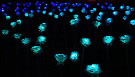 Night view of the pale blue flower-shaped lights in the plazaの写真素材