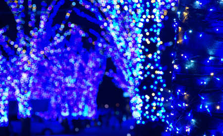 Blue Christmas lights on city streets at nightの写真素材