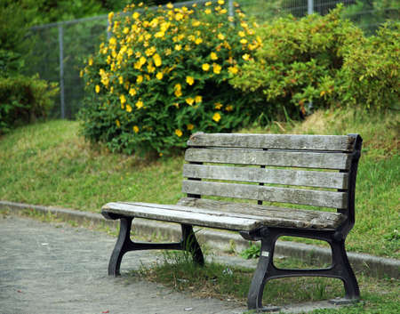 Park bench with yellow flowersの写真素材