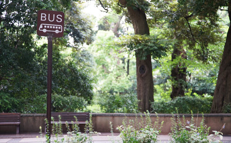 Bus stop in a forest surrounded by greenery