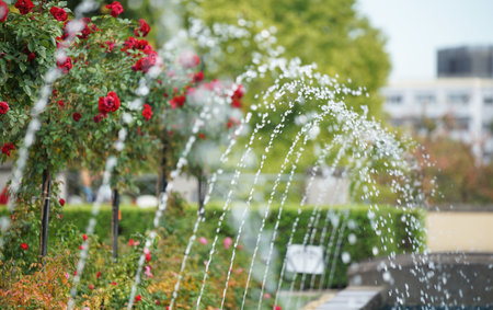 The spray of the fountain of the park and red flowerの写真素材