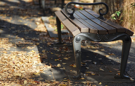 Bench in the park with fallen leaves in autumnの写真素材