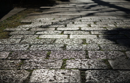 Cobblestone walkway in the park. Selective focus.の写真素材
