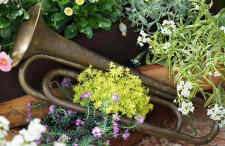Trombone and flowers in a wooden box. Close up.の写真素材