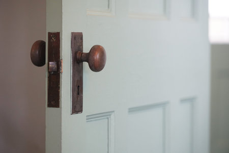 Door knob in front of a white door in a modern house
