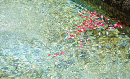 Red petals floating on water in a swimming pool in summer.