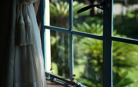 Window with a view of the garden in the morning. Selective focus.