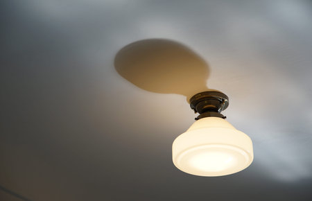 Ceiling lamp with light bulb in the dark room, stock photo