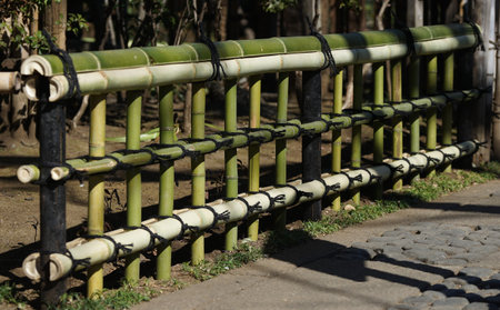 Bamboo fence in the park, japanese traditional style.の写真素材