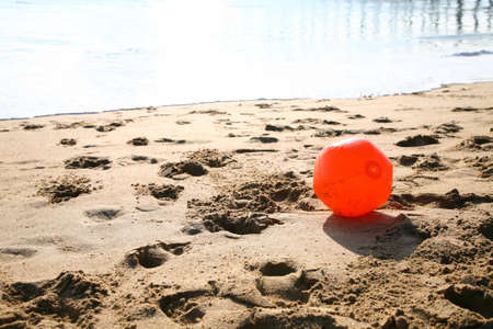 playful on the beach の写真素材