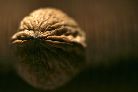 a different look on the hazel nutの写真素材