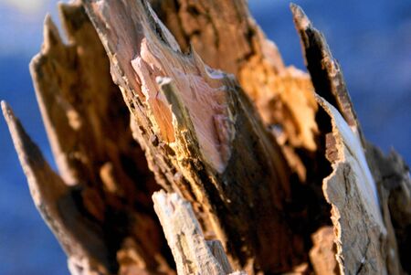 chunk of wood that looked like a missile の写真素材