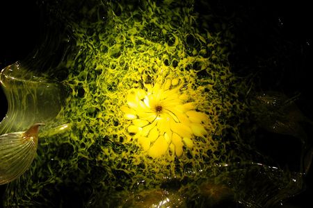 glass artの写真素材