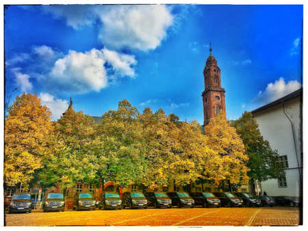 Mercedes in the parkのeditorial素材