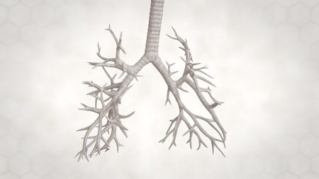 3d illustration of human lung structure.pneumonia.tuberculosis