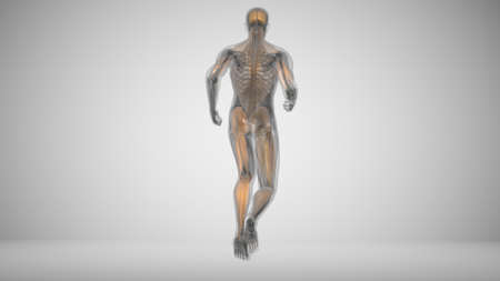 3d illustration of a running man with muscle lightingの写真素材