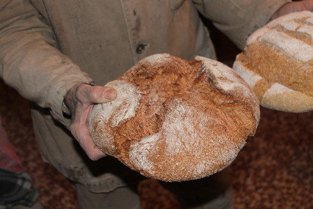 bread in handの写真素材