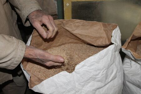 Flour in the sackの写真素材