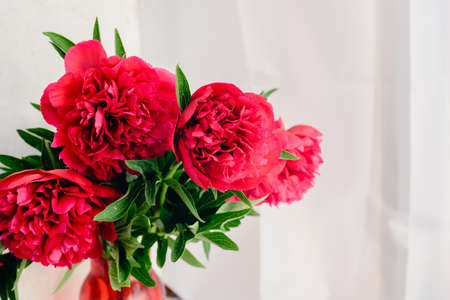 a red peony bouquet on a white background with copyspaceの写真素材