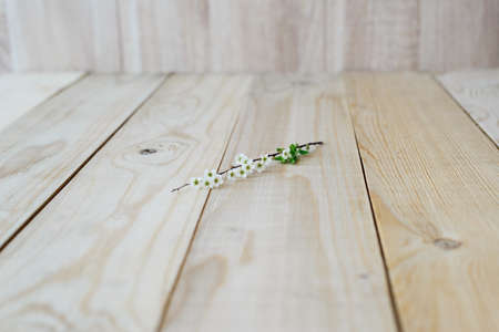 angle view blooming branch spirea on wooden backgroundの写真素材