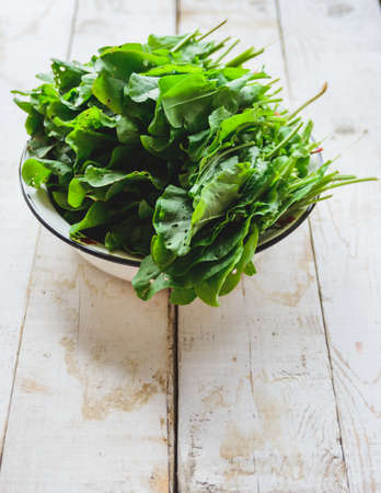 freshly picked sorrel in a white metal plateの写真素材