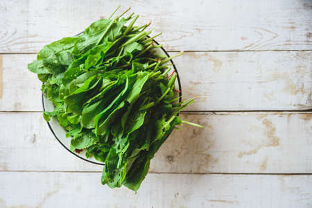 freshly picked sorrel in a white metal plateの写真素材