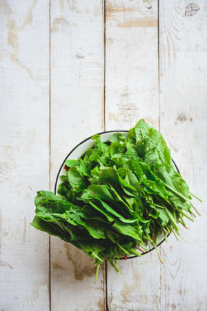 freshly picked sorrel in a white metal plateの写真素材