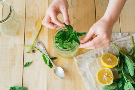 mint and lemon as ingredients for homemade lemonadeの写真素材