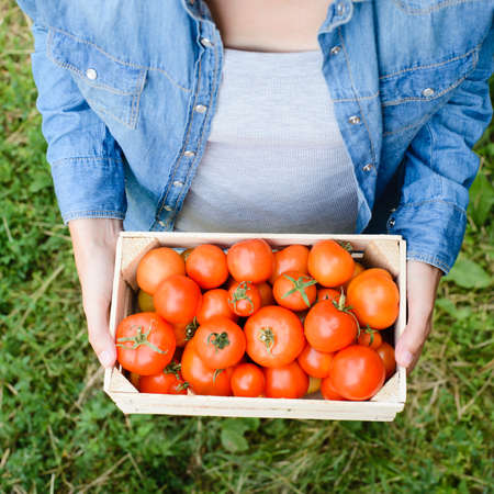 young woman holds box with crop of tomatoesの写真素材