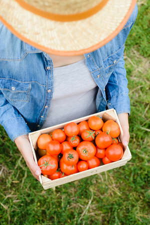 young woman holds box with crop of tomatoesの写真素材