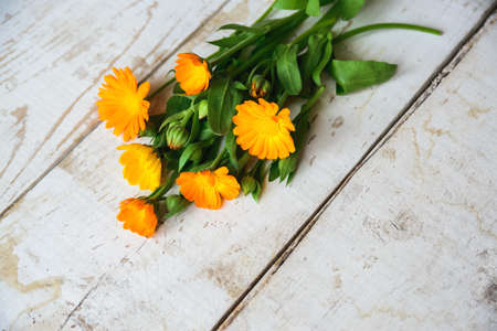 pattern of calendula flowers on the tableの写真素材