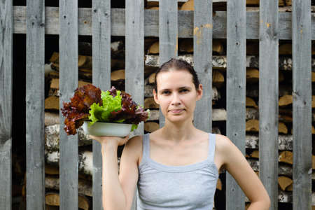 fresh harvest salad leaves in woman handの写真素材