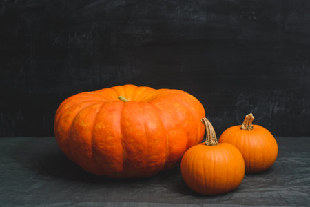 one large and two small pumpkins on slate background