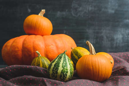 composition of pumpkins and fabrics with polka dots on slate backgroundの写真素材