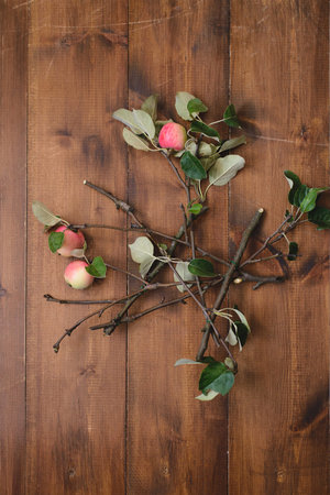 top view apple tree branch on the wooden table