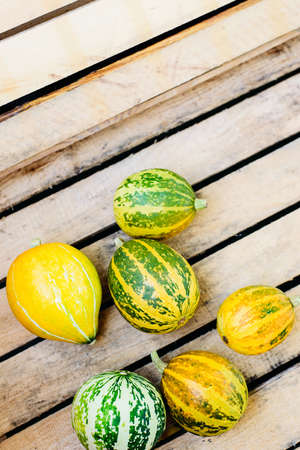 top view pile of decorative pumpkins lying on the striped wooden backgroundの写真素材