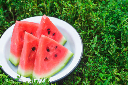 sliced fresh ripe watermelon in a white metal bowl grass background with copy space for text, fresh outdoors summer conceptの写真素材