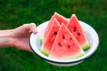 woman's hand give metal bowl with a sliced fresh ripe watermelon on grass background, fresh outdoors...