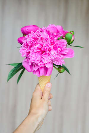 white caucasian women's hand keeping ice cream's imitation waffle cone with composition peony flowers inside house on a wooden backdropの写真素材