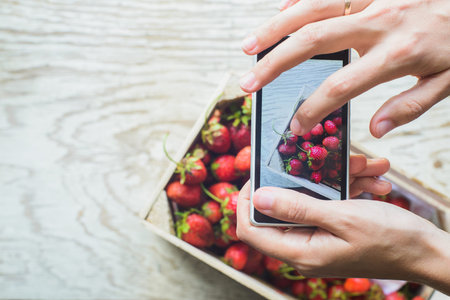 Hands taking photo of a fresh harvest of strawberries in a wooden box