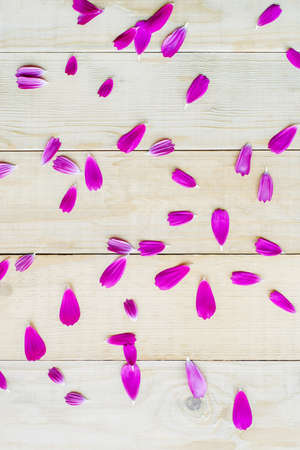 top view of petals cosmos flowers lay on wooden tableの写真素材