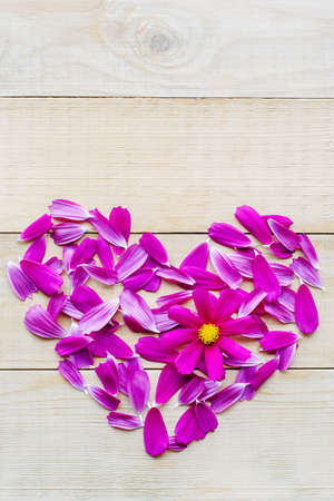 top view of flower heart shape made of petals and single opening flower head of cosmos plant flat lay on wooden backgroundの写真素材