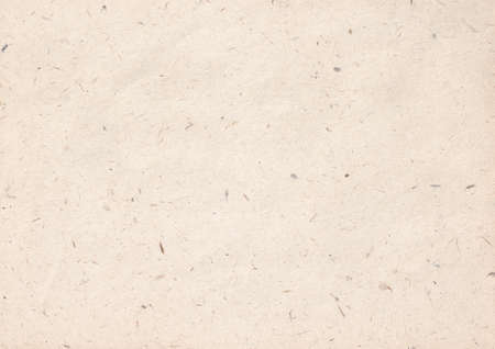 texture of light kraft paper sheet with soft dark brown grain shavingsの写真素材